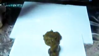 American fattie shitting