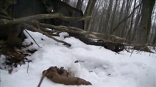 Hot milf shitting in snow