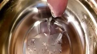 Piss & Scat from dogs bowl