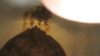 Fat girl ate bad food