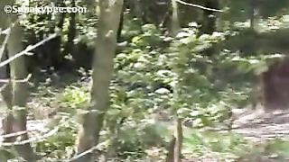 Peeing with pressurer on blue flowers