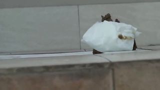 Spying on a Chinese woman that's pooping