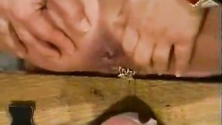 Two naughty girls pooping on a male slave