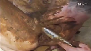 Covered her entire body with fresh shit