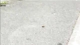 Mature woman pooping in the streets