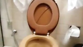 Pretty dark haired babe shitting in toilet