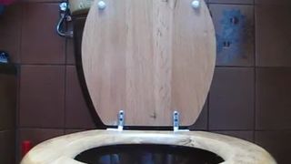 Ferkeline shitting in toilet