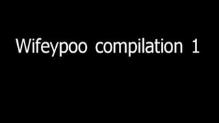 Compilation of same wife shitting