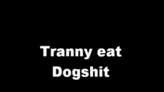Tranny eating fresh shit