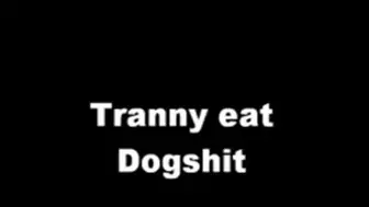 Search Results for blowjob tranny scat