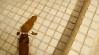 Big turd from sexy housewife