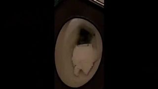 Flushed her pile of shit