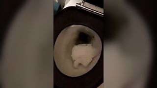 Flushed her pile of shit