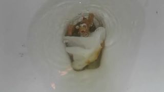 Creamy dump in toilet