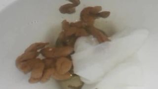 Creamy dump in toilet