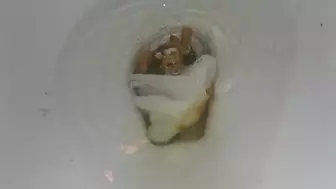 Search Results for Toilet clogging dump