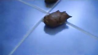 Hot ass pooping slowly