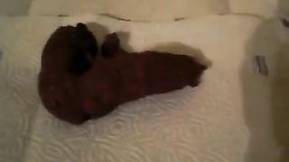 Wiping her dirty asshole slowly