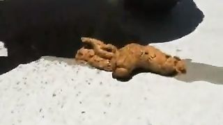 Teen shitting in the streets