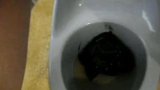 Step sister shitting in potty