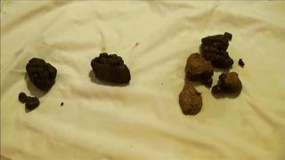 3 days shit collection