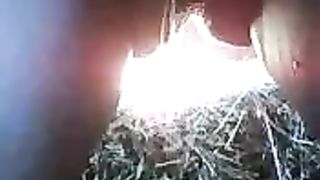 Shaved teen peeing outdoor