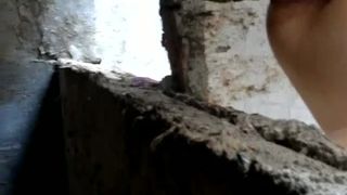 Spying on a girl that's shitting in public