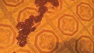 Fat babe shitting in toilet