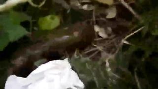 Wiping her ass with toilet paper