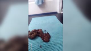 Beautiful Victoria shitting two times