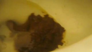 BBW babe shitting a lot in toilet