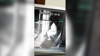 Japanese slut caught shitting in elevator