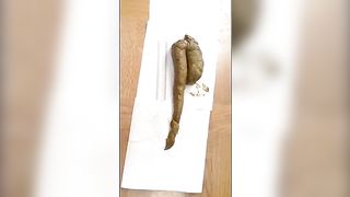 Incredible long turd from her sexy ass