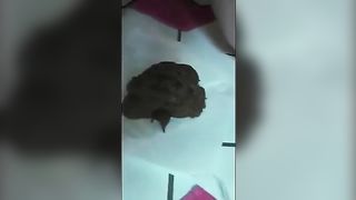 Incredible teen pooping