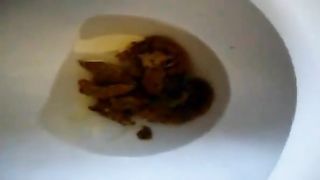 Amateur babe pooping in toilet
