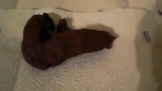 Hairy 18 year old pooping between high heels